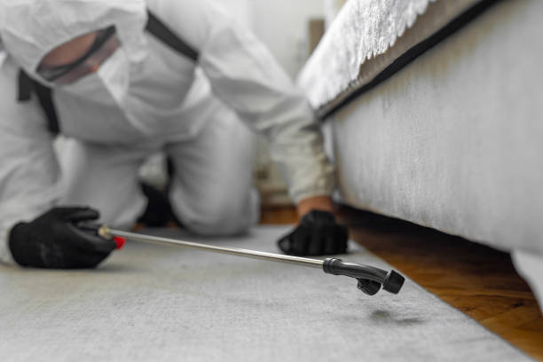 Professional Cockroach Control technician working in Whitmore Village, HI
