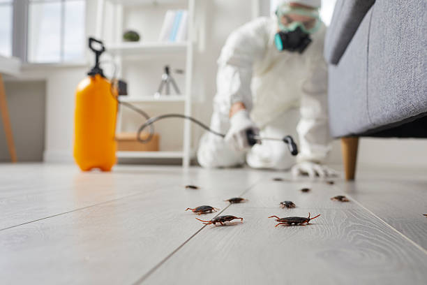 Trusted Cockroach Control service in Whitmore Village, HI - Nex Pest Control